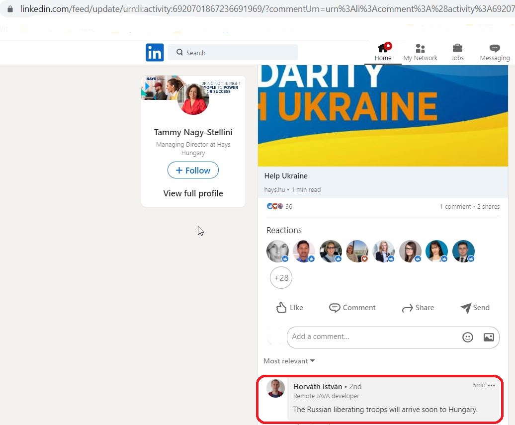 Horvath_Istvan_001__SoR_001__-LinkedIn.jpg